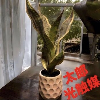 光触媒　人工観葉植物　ウォールグリーン　フェイクグリーン　サンセベリア49k