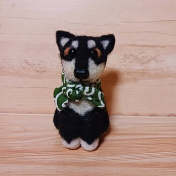 ハンドメイド 羊毛フェルト 柴犬 マスコット 黒柴 唐草模様スカーフ付き