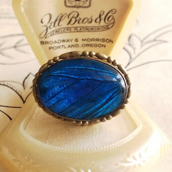 ヴィンテージ　モルフォ蝶のブローチ（約28×21㎜）