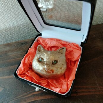 千夜一夜の迷宮録ー旅猫ポテト（マンチカン）の肖像