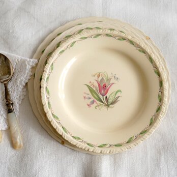 英国製【Newhall Hanley】Burleigh Ware / Burgess and Leigh プレート5枚セット