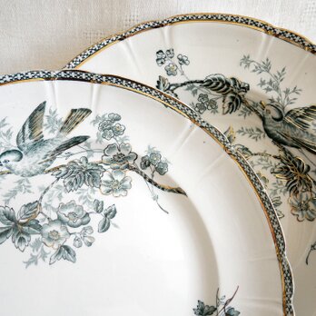 スウェーデン【Gustavsberg /Wexio】ディナー皿、スープ皿 2枚セット