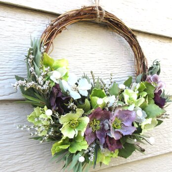 クリスマスローズ・スワッグ