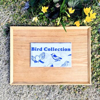 手ぬぐい「T-BOX造形教室 鳥図鑑2025」