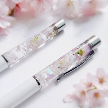 本物の桜のハーバリウムボールペン spring 送別会　母の日　