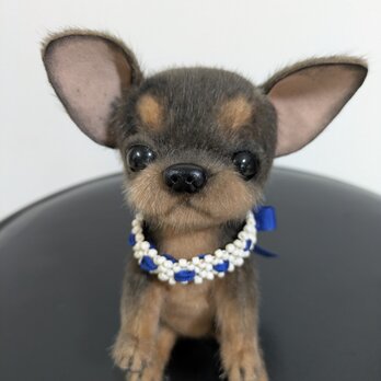 ぬいぐるみ☆チワワ☆子犬☆黒タン