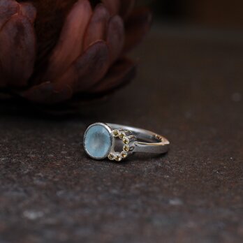 Aquamarine & Yellow Sapphire Double Bezel Ring