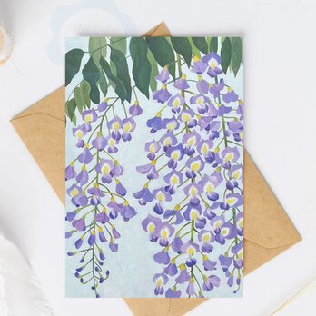 （99）藤の花　ポストカード　3枚セット