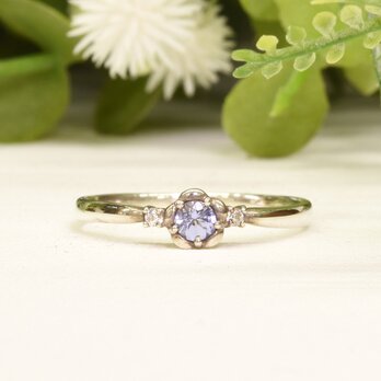 タンザナイト リング SV925 シルバー CM002CIBSN