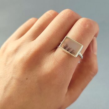 【1点もの】デンドリティックアゲート/シダ/植物/四角/スクエア/内包物/覆輪/silver925/リング【14号】