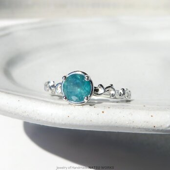 グランディディエライト リング / Gem and Botanical Grandidierite Ring 246