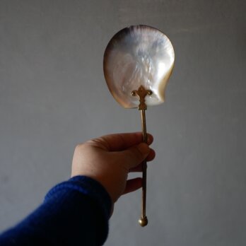 シェルのスプーン　フランスアンティーク　デコレーション　アンティークのある暮らし