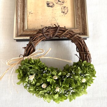 グリーンリース B