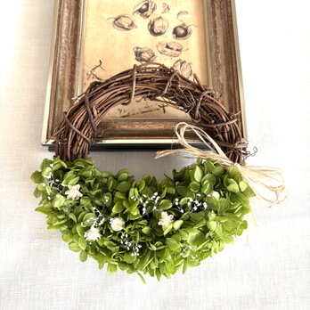 グリーンリース C