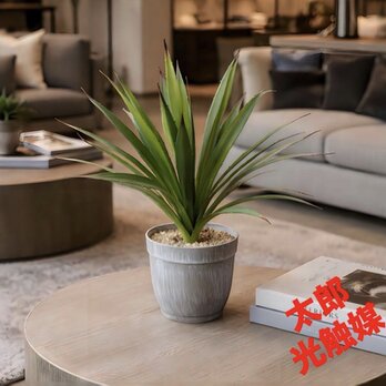 光触媒　人工観葉植物　ウォールグリーン　フェイクグリーン　ロングアガベGR