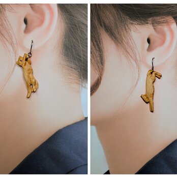 伸びる猫ピアス