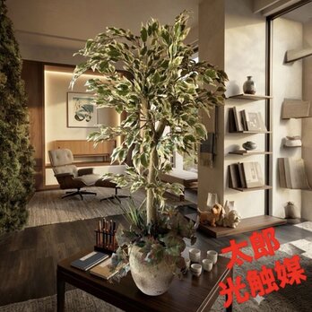 光触媒　人工観葉植物　ウォールグリーン　フェイクグリーン　斑入りベンジャミン