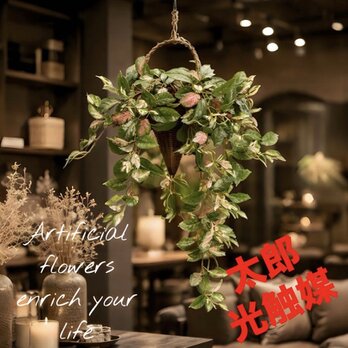 光触媒　人工観葉植物　ウォールグリーン　フェイクグリーン　壁掛けツートンホヤ