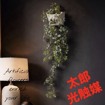 光触媒　人工観葉植物　ウォールグリーン　フェイクグリーン　壁掛けシュガーバイン