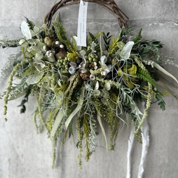 植物踊る長もちリース