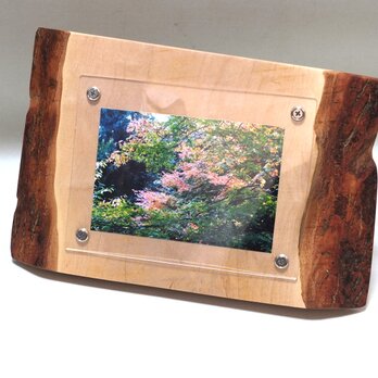 木製写真立て 壁掛け対応 Ｎｏ.4　胡桃の天然木（KG-25）