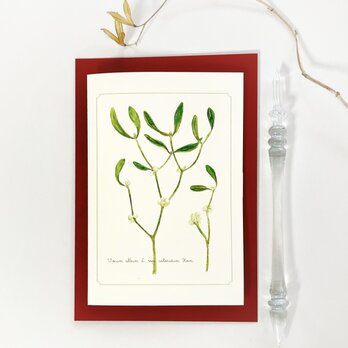 ヤドリギのカード＆レター