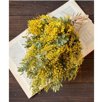 ミモザのすごいボリュームスワッグ中サイズ ドライフラワー ブーケ