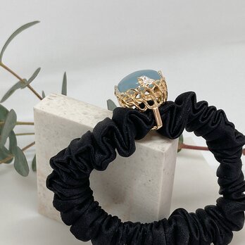 シュシュポニー　春