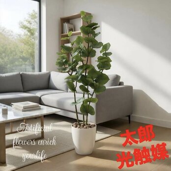 光触媒　人工観葉植物　ウォールグリーン　フェイクグリーン　シーグレープ