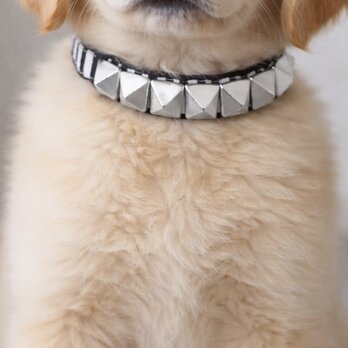 【一点物】シルバースタッズ ストライプ首輪　子犬　小型犬　中型犬　お出かけ用　撮影用
