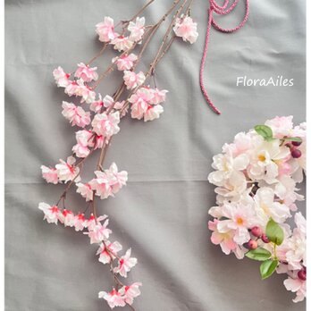 枝から流れる様な桜・サクラ・SAKURA♪おウチでお花見♪メッセージカード無料