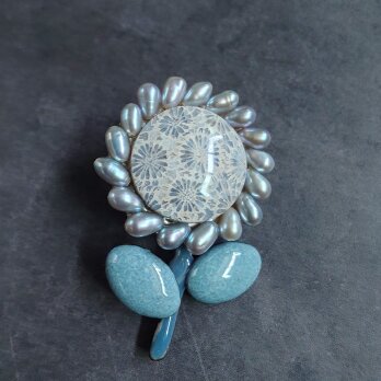 フォッシルコーラル（化石珊瑚）の向日葵