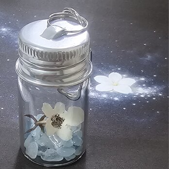 銀河白灯花・黒い銀河に咲く花   — ジャスミンノワール（小瓶アクセサリー）