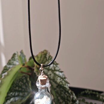 「コドナンテの花弁入り　月のしずくの小瓶ネックレス  ― ムーンストーン × アクアマリン」