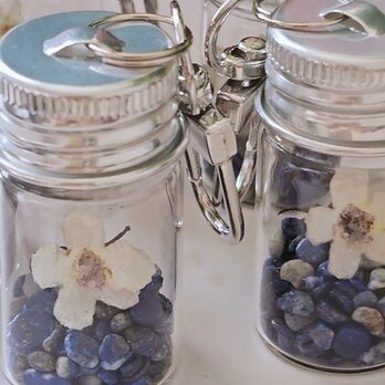 白いコドナンテ１輪とラピスラズリの星降るボトルキーホルダー　