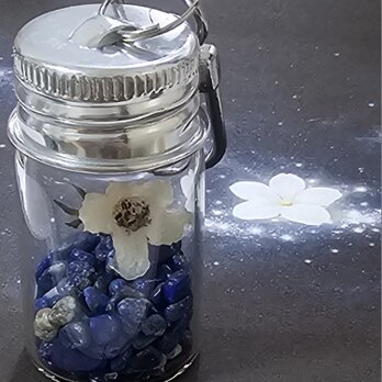 銀河白灯花・黒い銀河に咲く花   — ジャスミンノワール（小瓶アクセサリー）ラピスラズリ