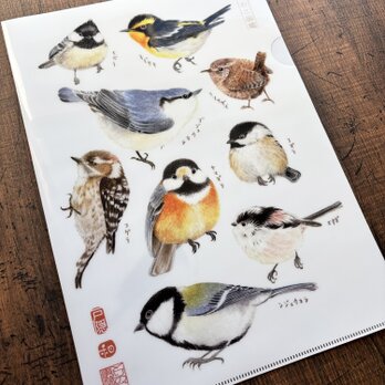 クリアファイル〈A4サイズ〉とりのこ図鑑・戸隠