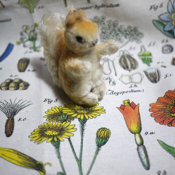 ワイルドフラワー　ティータオル　ロング　Cavallini　アメリカ