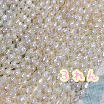 淡水ぱっ 3本売り！きらきら♡シワシワつぶつぶごはん 1連39cmくらい！3連をお届け致しまーーす！