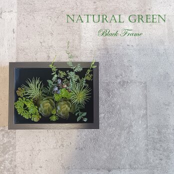 【消臭・抗菌】インテリアに溶け込むアートなフェイクグリーン。スタイリッシュな黒の木製額縁