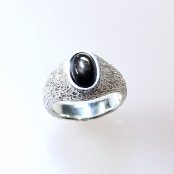 Sv925 ブラックスターサファイアリング 3.18ct