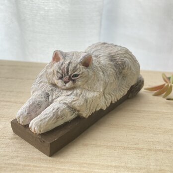 白モフのきらひかり