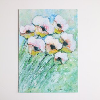 Heljä ヘルヤ / ポストカード Lumikukat 1995's No.6378