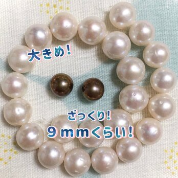 淡水ぱ すてきな、ああすてきな、うっとりするようなピンクヴェール 立派な、コロコロ…… 半連よ！半連！その1 現品限り♡