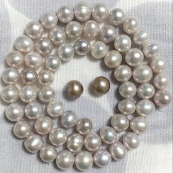 淡水ぱ たいへん希少なお色味…… 天然の、グレー。（ほん〜〜のりピンク♡）1連 39cmくらい！