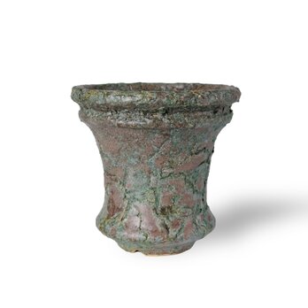 パルバコステリッチオ / M / 蒼亀裂（鉢・プランター）