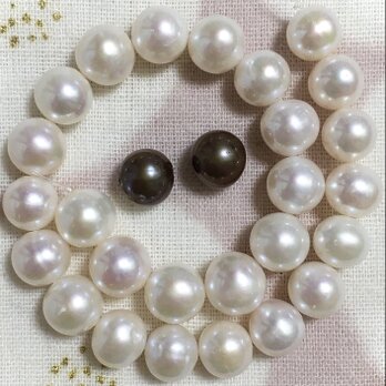 淡水ぱ キラリン☆テリヨシ 大きめが嬉しい！立派なコロコロッッッ！半連よ！半連！その2