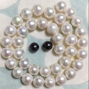 淡水ぱ 最大11mm超え！憧れの！エジソーーーン！1連 40cmくらいっ！38粒