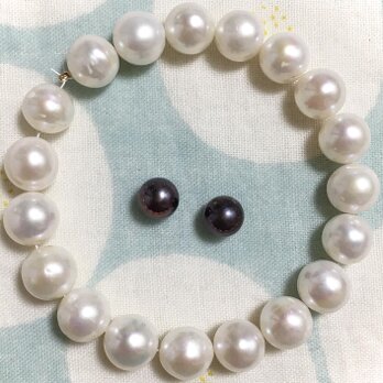 淡水ぱ 最大11mm超え！憧れの！エジソーーーン！！！半連ぶんよ〜〜19粒！その2