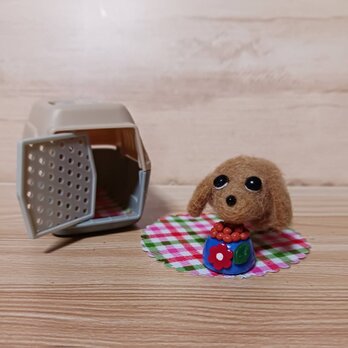 羊毛フェルトの小さな々ダックスフンド　キャリー・餌・下敷き付き